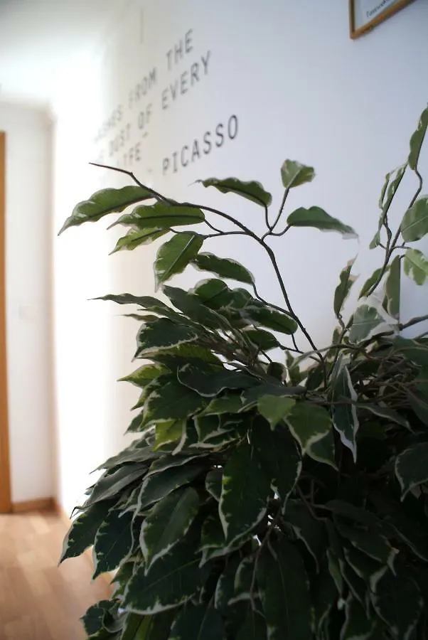 Calma Chicha Apartment Malaga