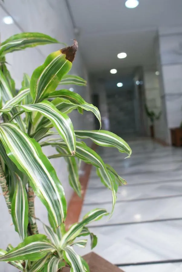 Calma Chicha Apartment Malaga Spain