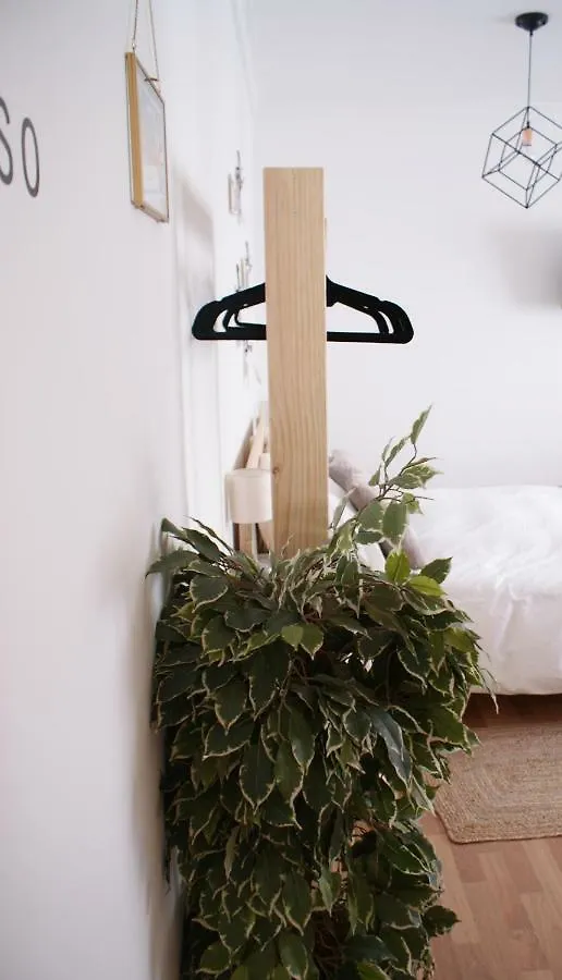Calma Chicha Apartment Malaga