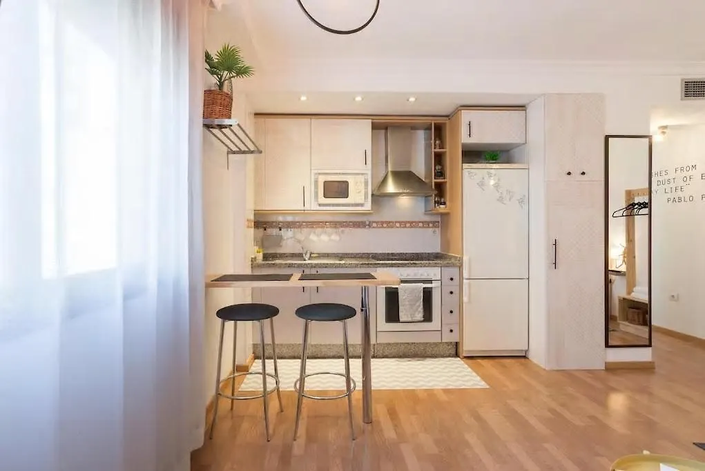 Calma Chicha Apartment Malaga